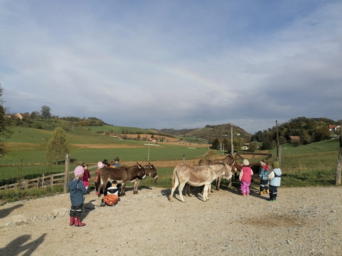Voden ogled posestva in druženje z živalmi